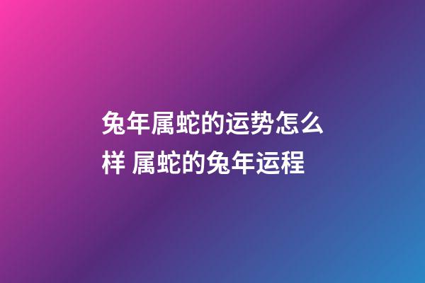 兔年属蛇的运势怎么样 属蛇的兔年运程-第1张-观点-玄机派